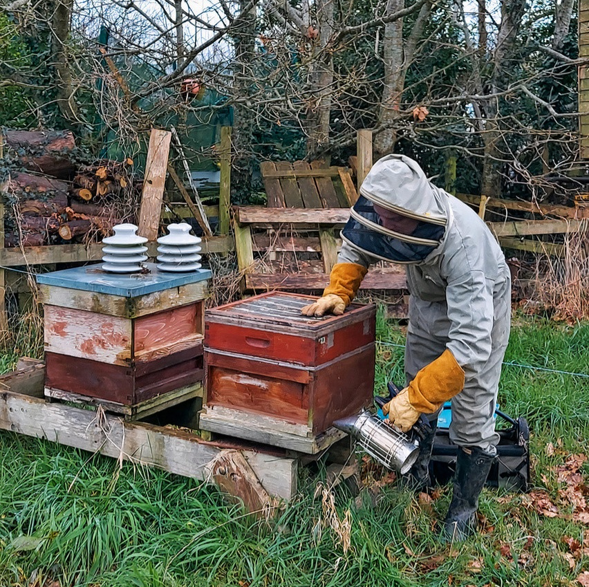 Beekeeper profile picture
